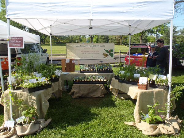 Farmers Market Photo