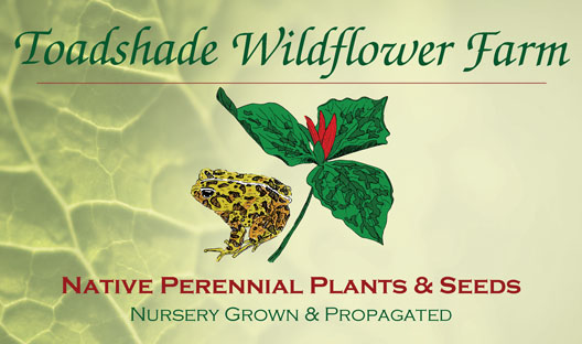 Online Plant & Seed Catalog